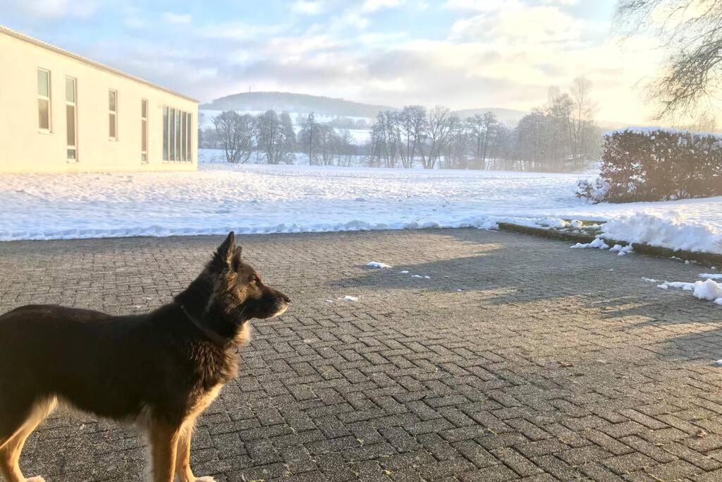 Ferienhaus Talblick Alpenrod Экстерьер фото